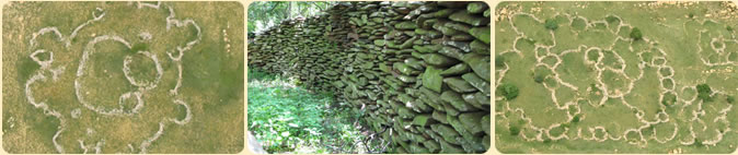 South African stone circles